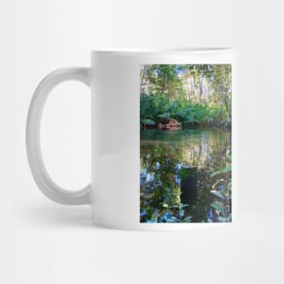 celestun ria wetland ecopark ecopop landscape photo in yucatan eye of the water green park Mug